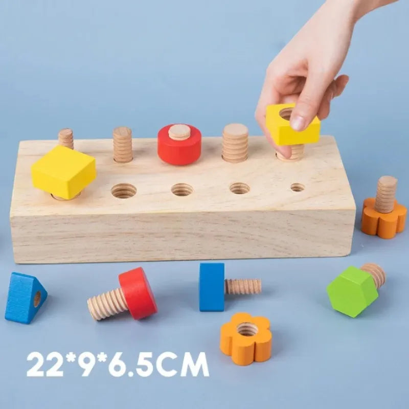 Jeu-Visser-Devisser-Montessori-en-Bois-taille