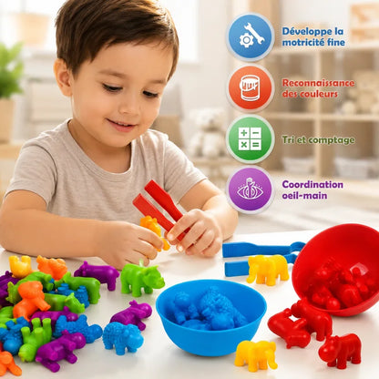 Jeu Tri Couleur Montessori