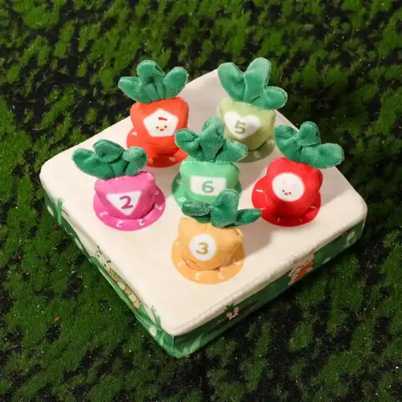 Jeu-Carottes-Montessori-en-Tissu-kit-de-6
