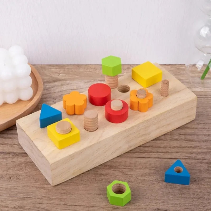 Jeu-Visser-Devisser-Montessori-en-Bois-en-couleures