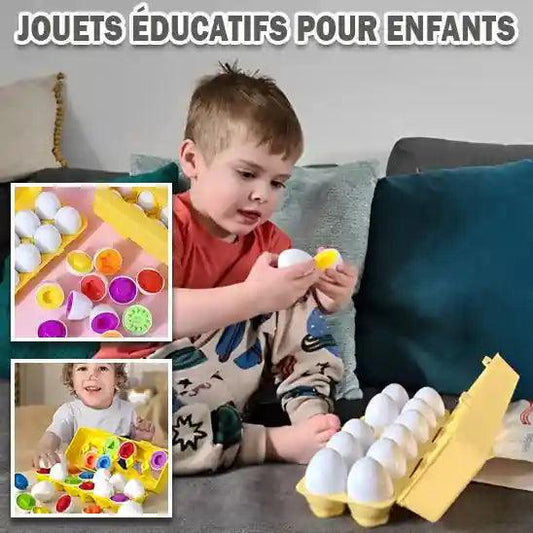 boite-a-oeuf-montessori-intelligente