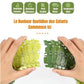 circuit-voiture-dinosaure-facile