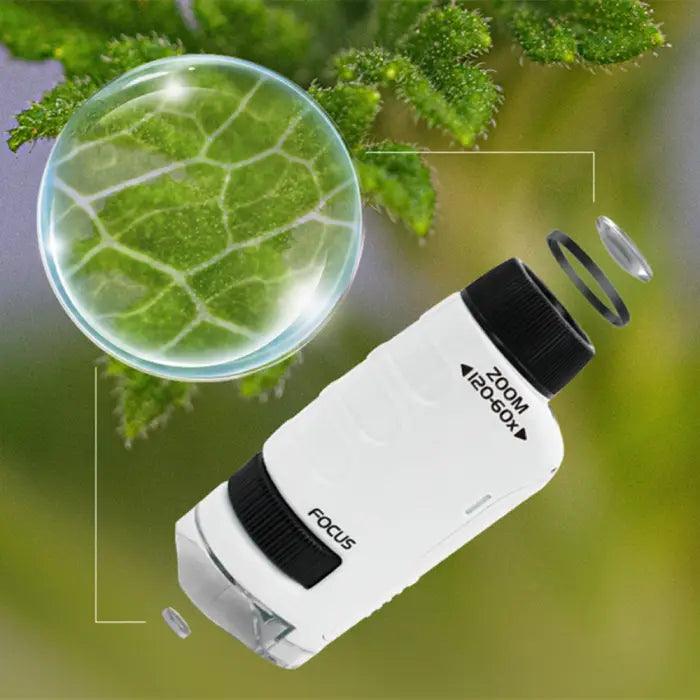 microscope-de-poche-enfant-plante
