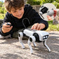 robot-telecommande-pour-garcon-10-ans    